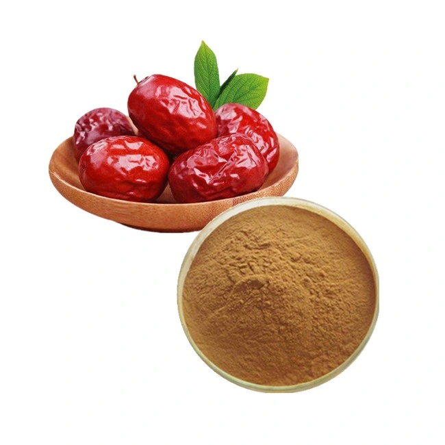 Natural High Quality Jujube Extract Chinese Date Powder Red Jujube Powder