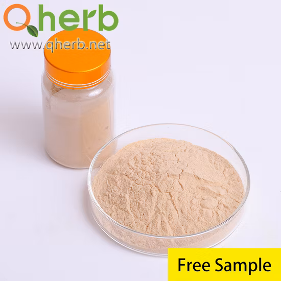 Jugo de extracto de azufaifo rojo orgánico 20: 1 en polvo Dátiles rojos en polvo Azufaifa